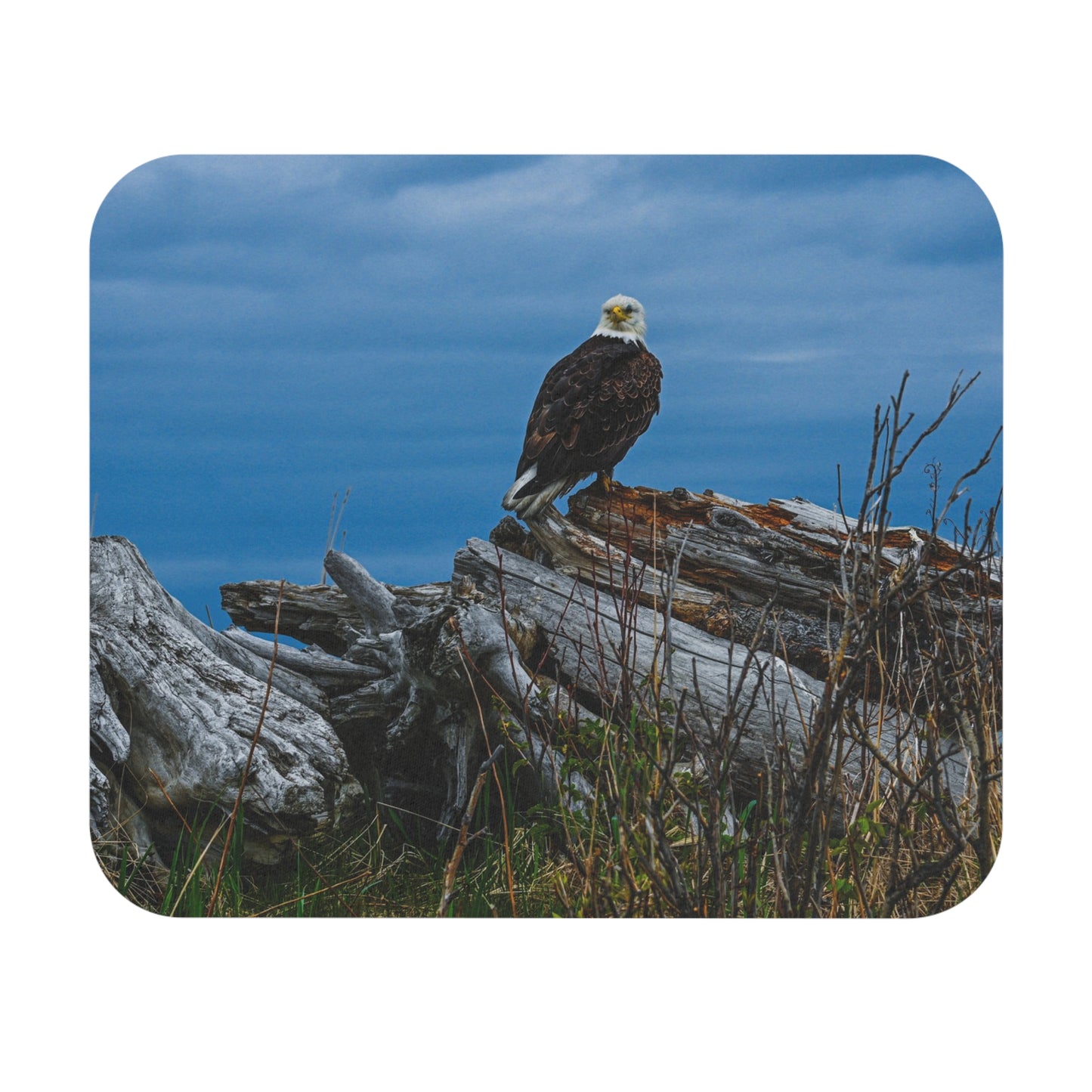 Majestic Eagle Mouse Pad