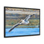 Framed Pelican Canvas Art | Nature Wall Decor