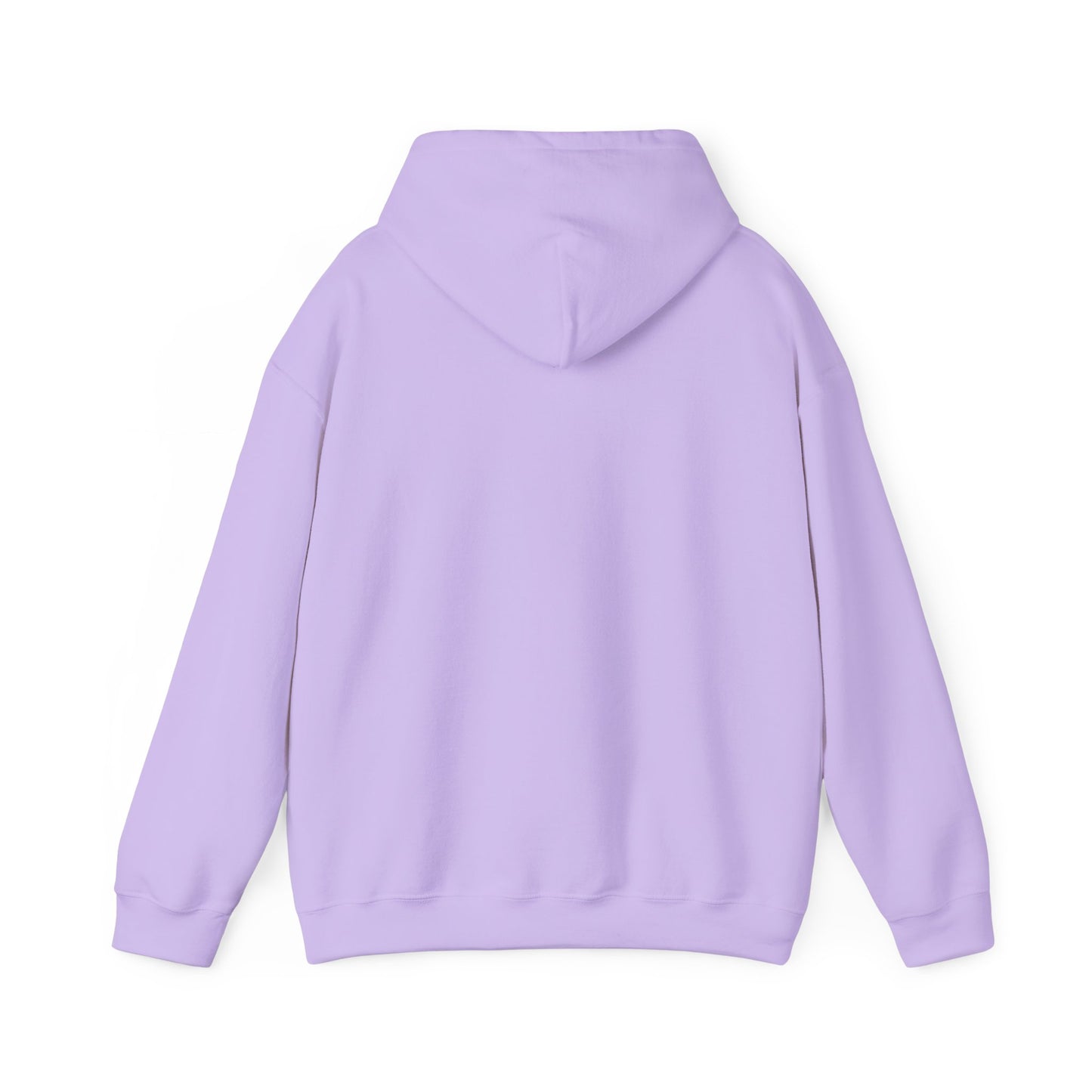 Hummingbird Rainbow Hoodie - Cozy Sweatshirt for Nature Lovers