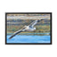 Framed Pelican Canvas Art | Nature Wall Decor