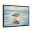 Serene Shoreline Bird Canvas Wrap - Horizontal Frame Art
