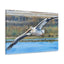 Pelican Canvas Gallery Wrap - Coastal Art for Home Decor