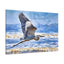 Soothing Coastal Canvas Gallery Wraps featuring Majestic Heron in Flight
