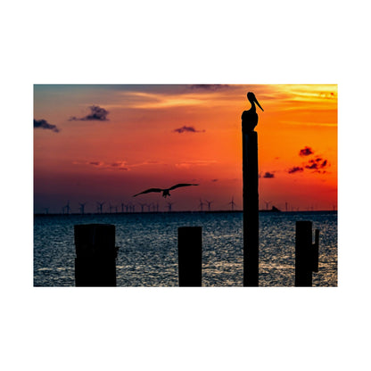 Scenic Matte Horizontal Poster - Serene Sunset with Pelicans and Wind Turbines