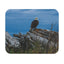 Majestic Eagle Mouse Pad