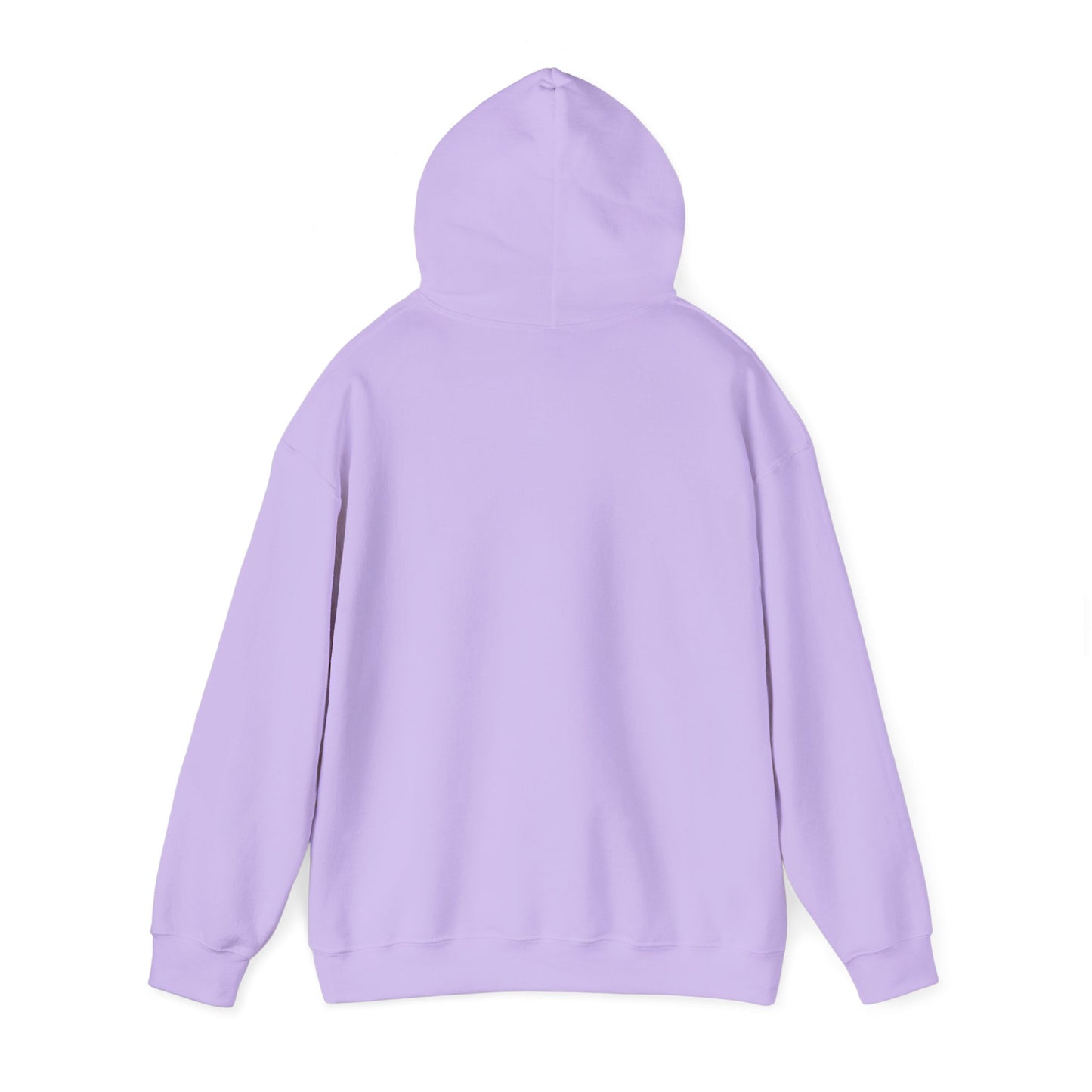 Hummingbird Rainbow Hoodie - Cozy Sweatshirt for Nature Lovers