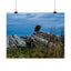 Majestic Eagle Matte Horizontal Poster - Nature Wall Art for Bird Lovers