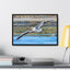 Framed Pelican Canvas Art | Nature Wall Decor