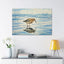Coastal Bird Canvas Gallery Wrap - Ocean Art Wall Decor