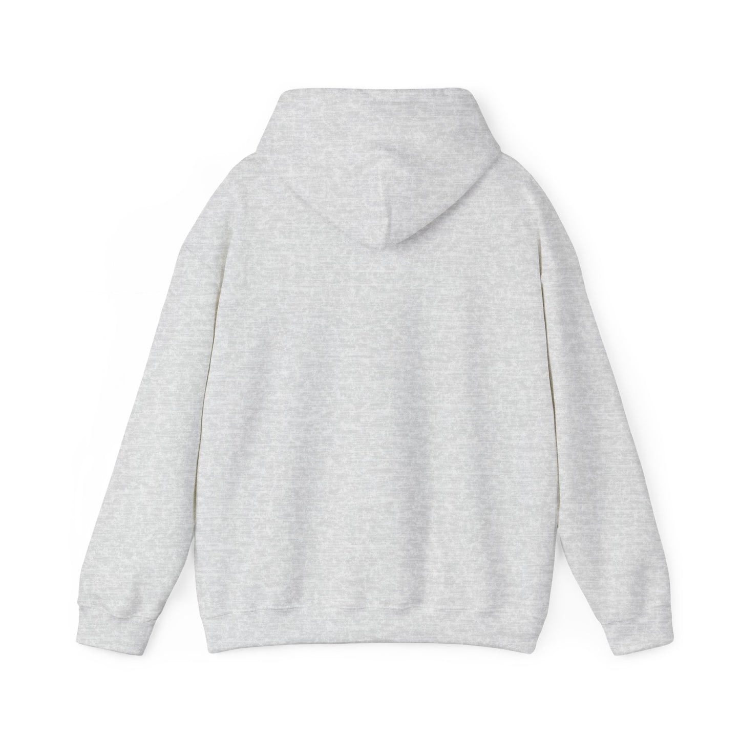 Hummingbird Rainbow Hoodie - Cozy Sweatshirt for Nature Lovers