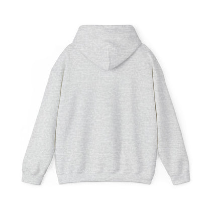 Hummingbird Rainbow Hoodie - Cozy Sweatshirt for Nature Lovers