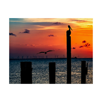 Scenic Matte Horizontal Poster - Serene Sunset with Pelicans and Wind Turbines