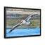 Framed Pelican Canvas Art | Nature Wall Decor