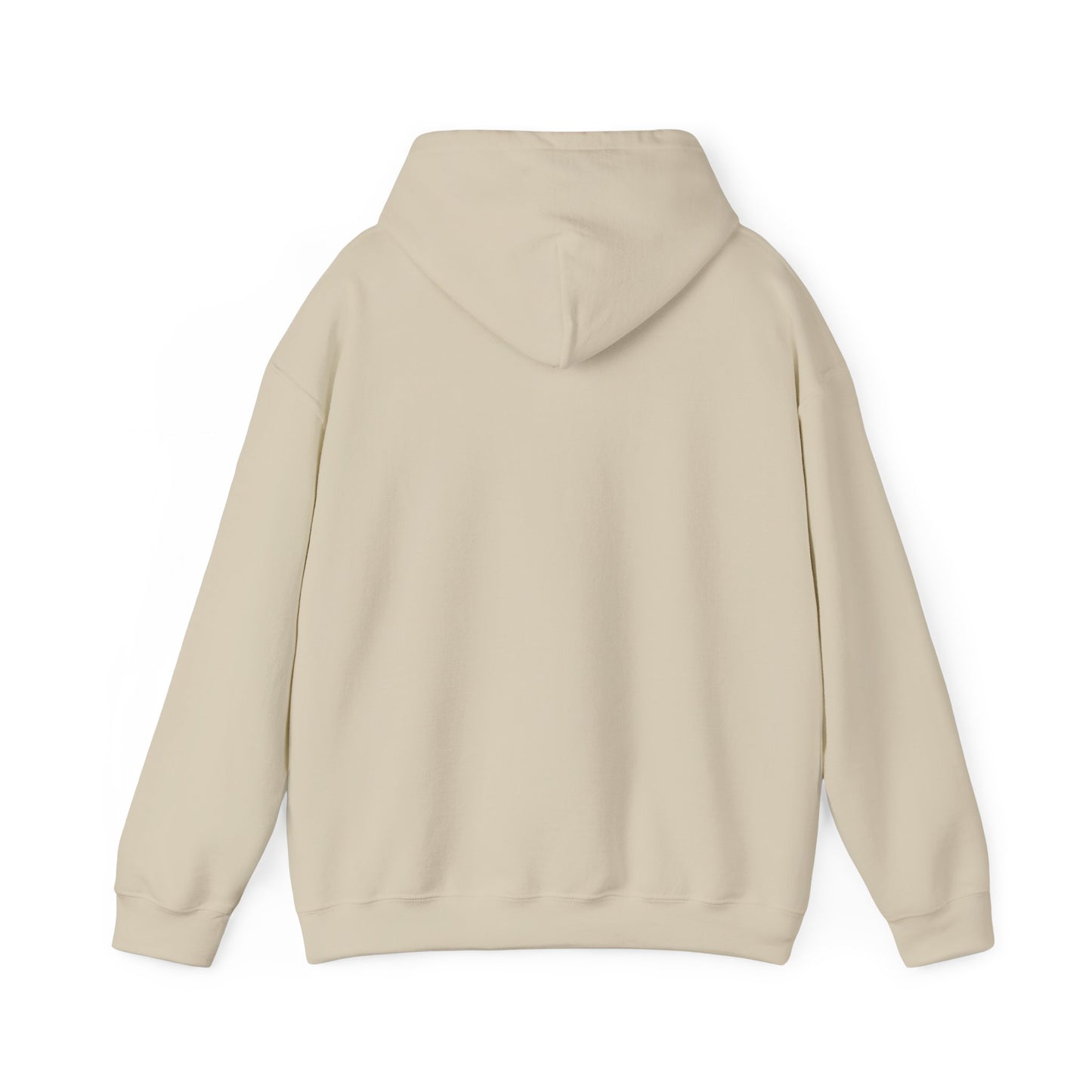 Hummingbird Rainbow Hoodie - Cozy Sweatshirt for Nature Lovers