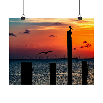 Scenic Matte Horizontal Poster - Serene Sunset with Pelicans and Wind Turbines