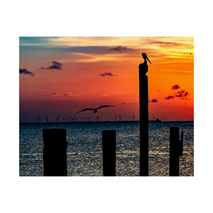 Scenic Matte Horizontal Poster - Serene Sunset with Pelicans and Wind Turbines