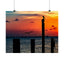 Scenic Matte Horizontal Poster - Serene Sunset with Pelicans and Wind Turbines