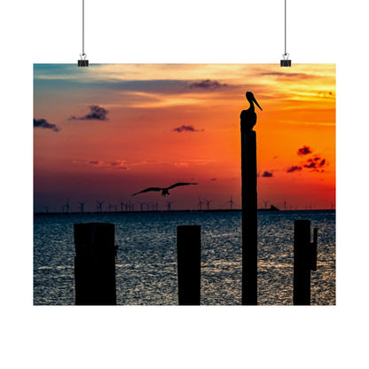 Scenic Matte Horizontal Poster - Serene Sunset with Pelicans and Wind Turbines