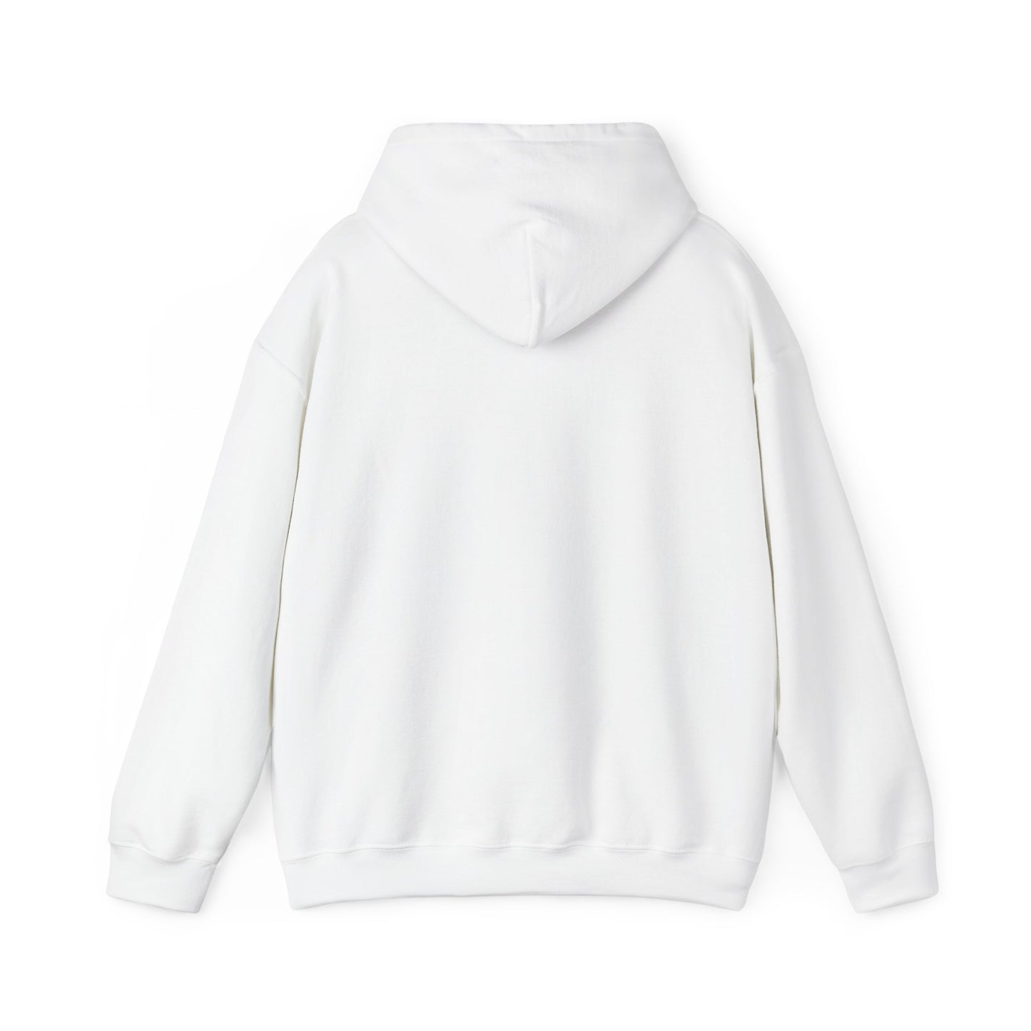 Hummingbird Rainbow Hoodie - Cozy Sweatshirt for Nature Lovers