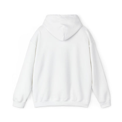 Hummingbird Rainbow Hoodie - Cozy Sweatshirt for Nature Lovers