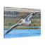 Pelican Canvas Gallery Wrap - Coastal Art for Home Decor