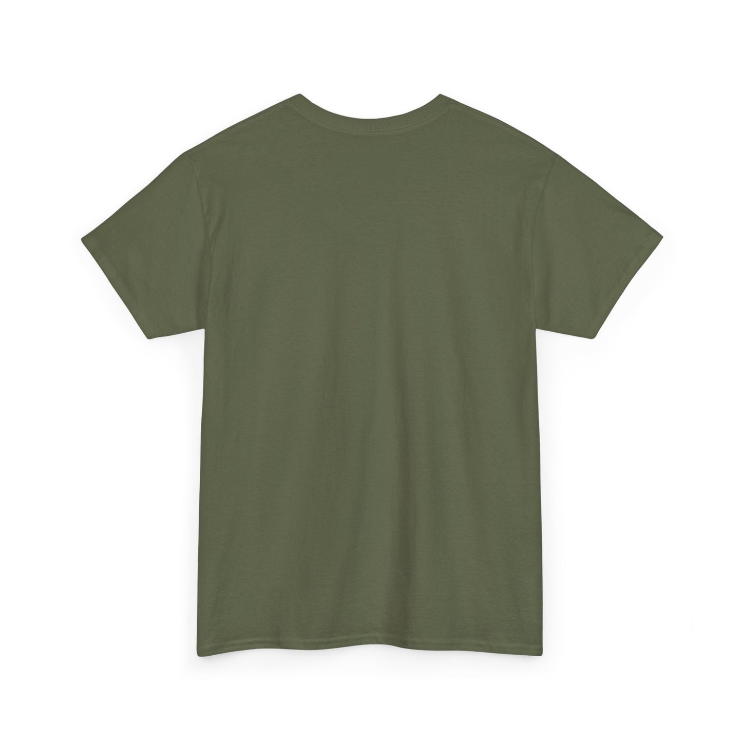 Eagles Soar Unisex Heavy Cotton Tee