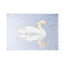 Irish Swan Glass Cutting Board