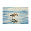 Coastal Bird Canvas Gallery Wrap - Ocean Art Wall Decor
